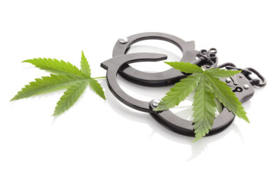 Why You Need a Lawyer if Arrested for Marijuana Possession